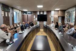 دومین جلسه کمیته امور هیئت‌علمی ایثارگر با هدف بررسی برنامه‌های «دومین کنگره سلامت آسیب‌دیدگان جنگ» برگزار شد